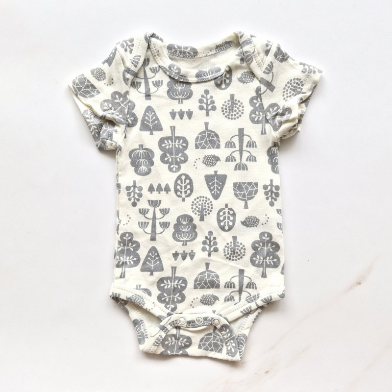 بادی cute koala درخت