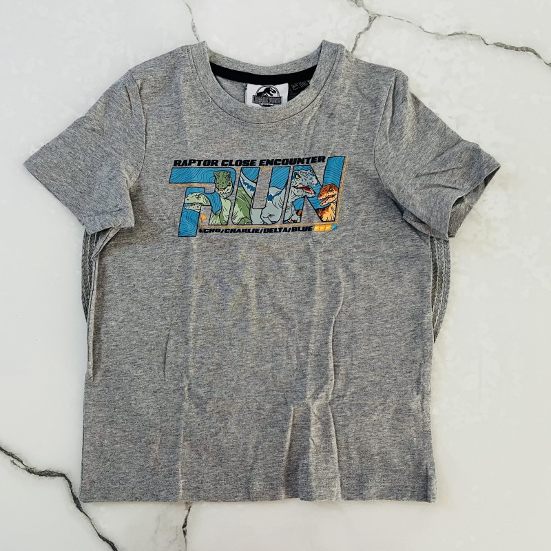 تیشرت آستین کوتاه تی رکس طوسی kids