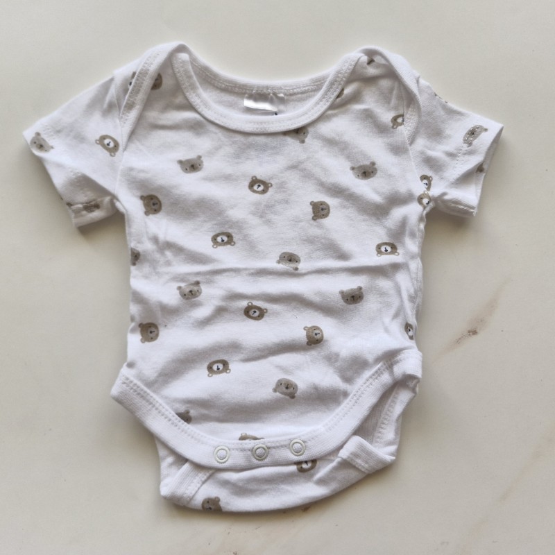 بادی وارداتی تدی