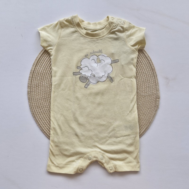 رامپر ببعی لیمویی لوپیلو