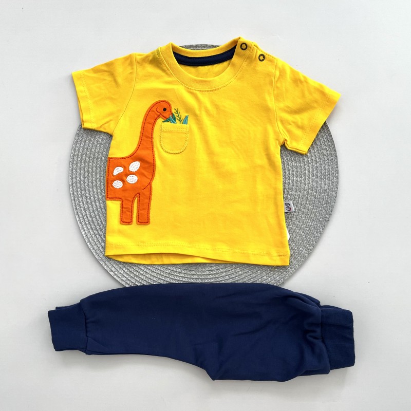 تیشرت و شلوار دایناسور گلدوزی زرد وچیون