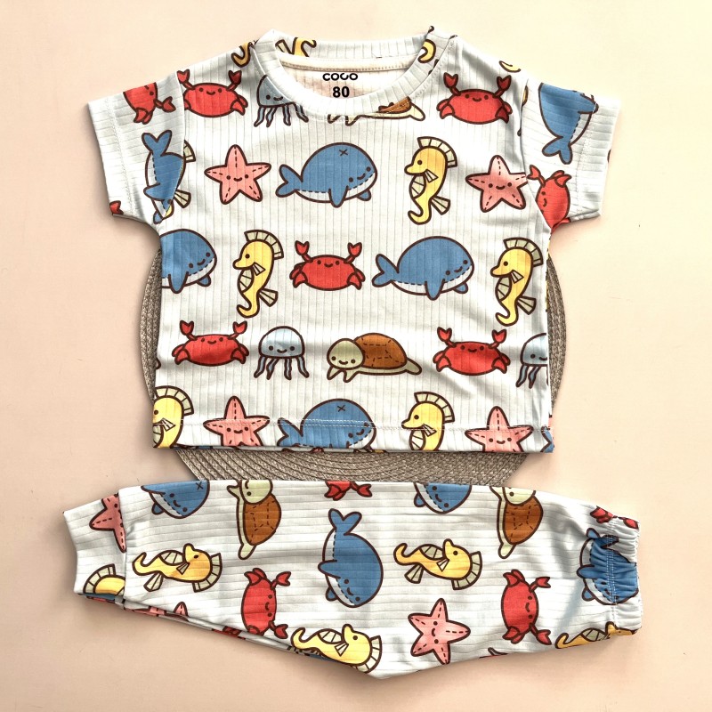 ست تیشرت شلوار راحتی اقیانوس kids
