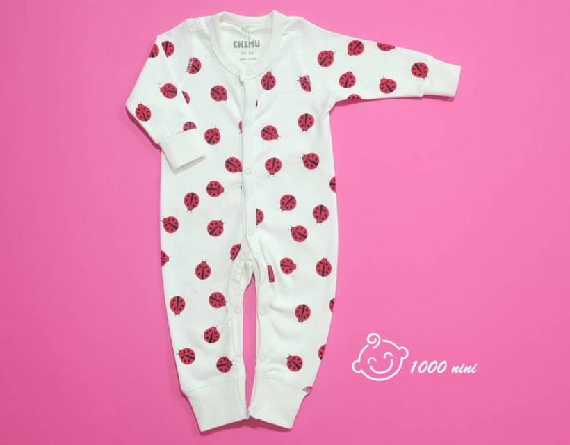 سرهمی کفشدوزک چیمو