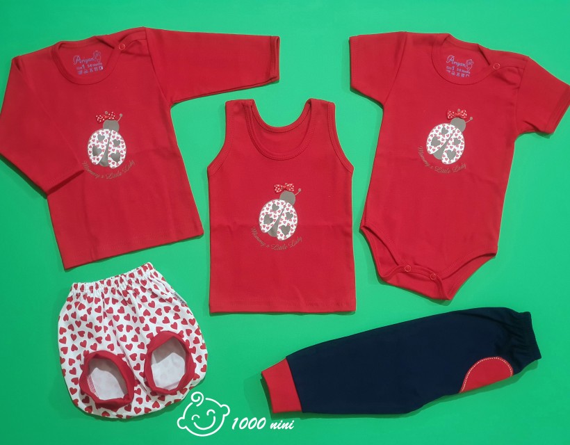 ست 5 تکه طرح کفشدوزک آرین