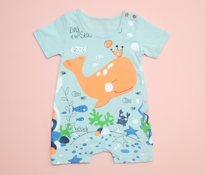 رامپر نهنگ ببک