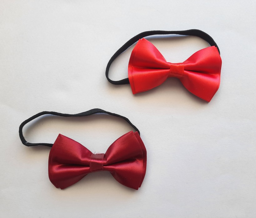 پاپیون ساتن نوزادی