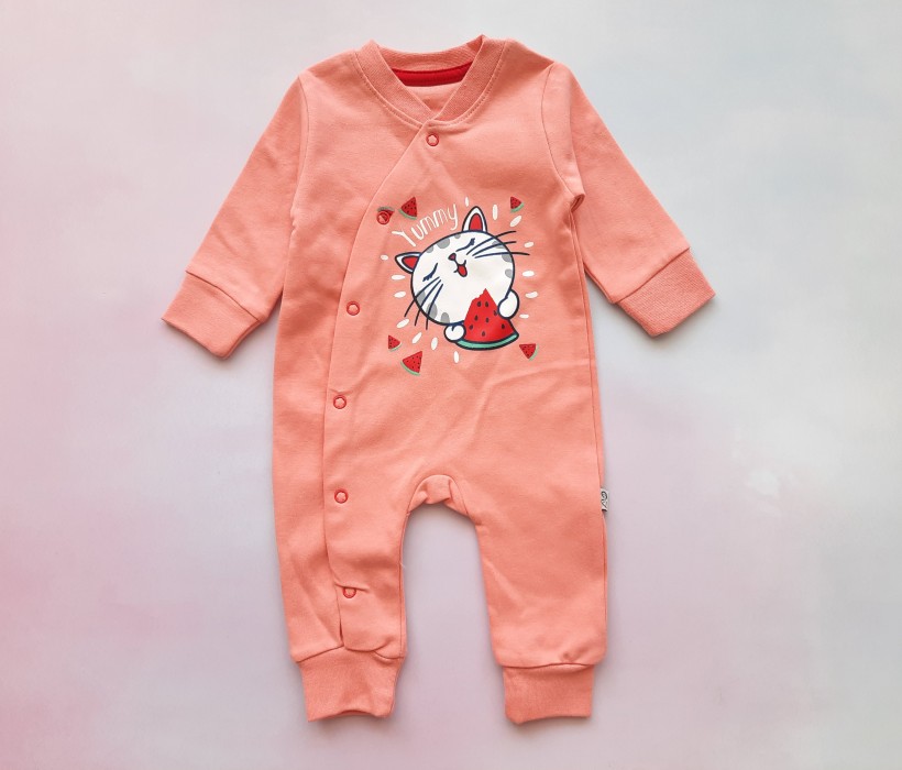 سرهمی گربه گلبهی وچیون