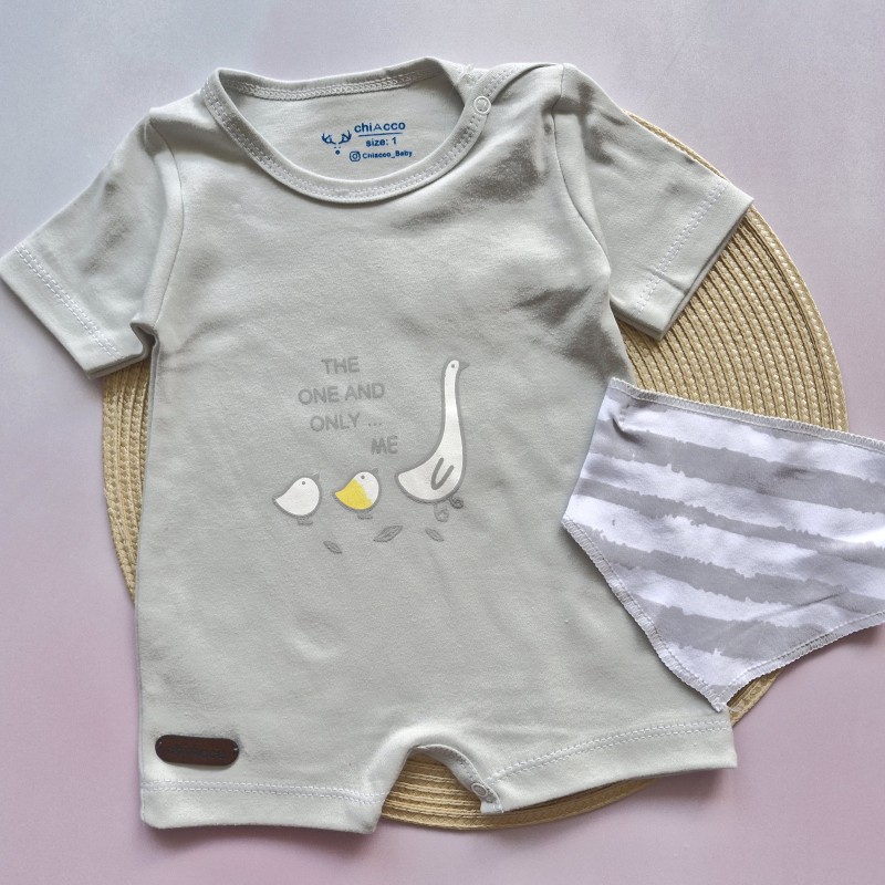 رامپر اردک طوسی چیاکو