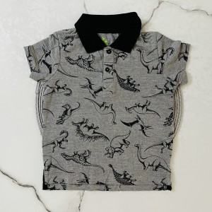 تیشرت آستین کوتاه ‌‌جودون دایناسور kids