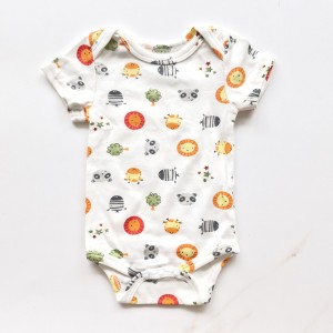 بادی cute koala حیوانات جنگل