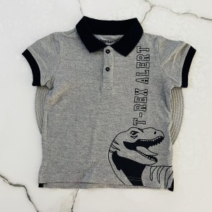 تیشرت آستین کوتاه ‌‌جودون دایناسور طوسی لوپیلو kids