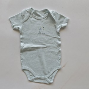 بادی وارداتی دایناسور