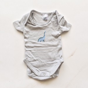 بادی وارداتی دایناسور طوسی