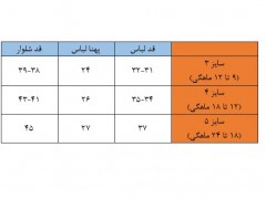 بلوز شلوار گلدوزی طرح فیل راه راه