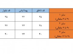 بادی شلوار گلدوزی طرح گل