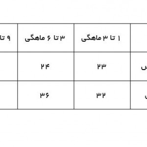 سارافون دورس ایندیگو 29717