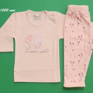 ست 2 تکه طرح خرگوش بادکنک آرین