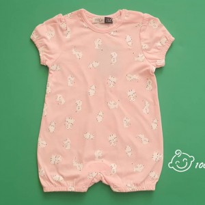 رامپر گربه ایندیگو 19779