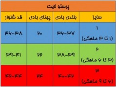 ست 3 تکه طرح نهنگ لایت