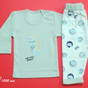 ست 2 تکه طرح دایناسور سبز آرین