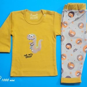 ست 2 تکه طرح دایناسور خردلی آرین