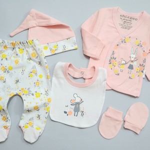 ست بیمارستانی خرگوش و موش چیاکو