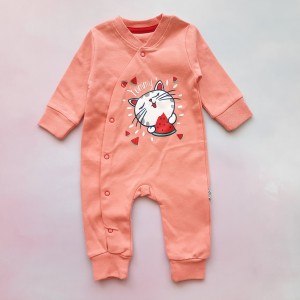 سرهمی گربه گلبهی وچیون