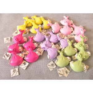 گیفت گچی آهنربایی جشن تعیین جنسیت