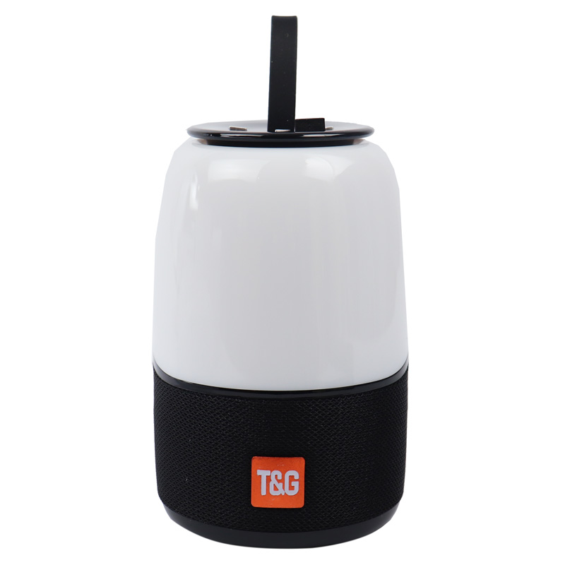 اسپیکر بلوتوثی رم و فلش خور تی اند جی T&G TG608