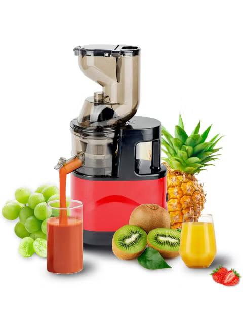 آبمیوه‌گیری و عصاره‌گیر Slow Juicer X01 کد 1768