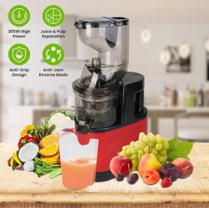 آبمیوه‌گیری و عصاره‌گیر Slow Juicer X01 کد 1768