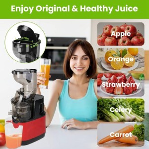 آبمیوه‌گیری و عصاره‌گیر Slow Juicer X01 کد 1768
