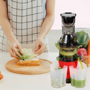 آبمیوه‌گیری و عصاره‌گیر Slow Juicer X01 کد 1768