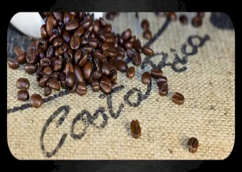 همه چیز درباره قهوه کاستاریکا