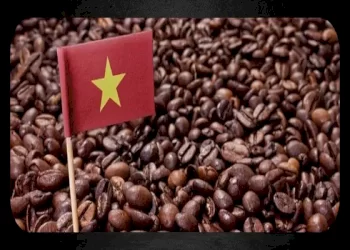 همه چیز درباره قهوه ویتنام