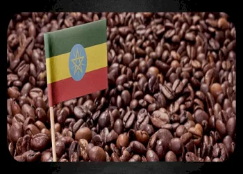 همه چیز درباره قهوه اتیوپی