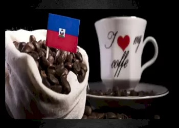 همه چیز درباره قهوه هائیتی