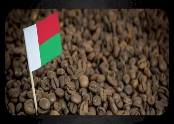 همه چیز درباره قهوه ماداگاسکار