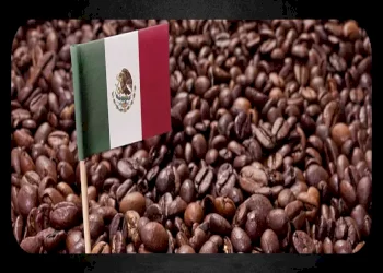 همه چیز درباره قهوه مکزیک