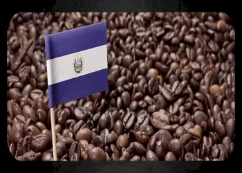 همه چیز درباره قهوه السالوادور