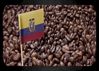 همه چیز درباره قهوه اکوادور