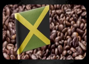 همه چیز درباره قهوه جامائیکا
