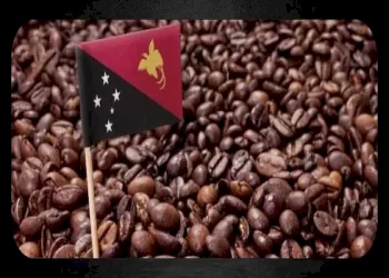 همه چیز درباره قهوه گینه نو
