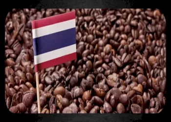 همه چیز درباره قهوه تایلند