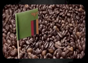 همه چیز درباره قهوه زامبیا