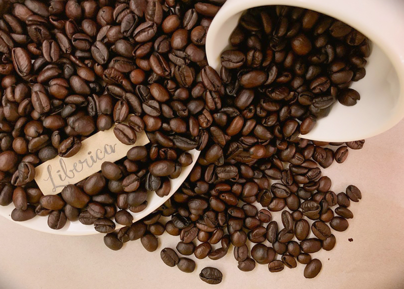 دانه قهوه لیبریکا