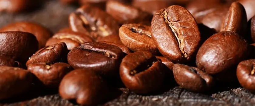 فواید  قهوه عربیکا