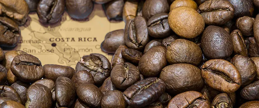 طعم های قهوه کاستاریکا