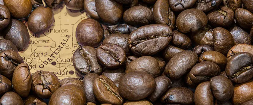 بهترین روش های دم کردن قهوه گواتمالا