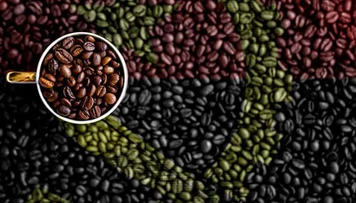 انواع دانه قهوه آنگولا